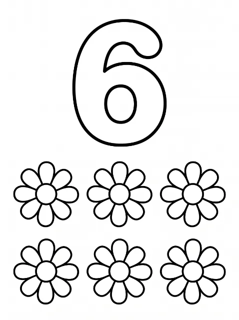 A large outlined number 6 above six flowers with round centers and rounded petals, arranged in two rows of three.