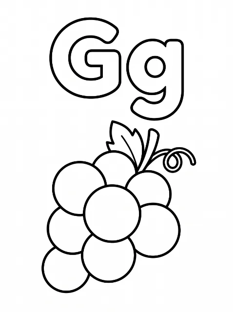 Uppercase G and lowercase g above a bunch of round grapes with a stem, pointed leaf, and curling tendril, all drawn with thick outlines.