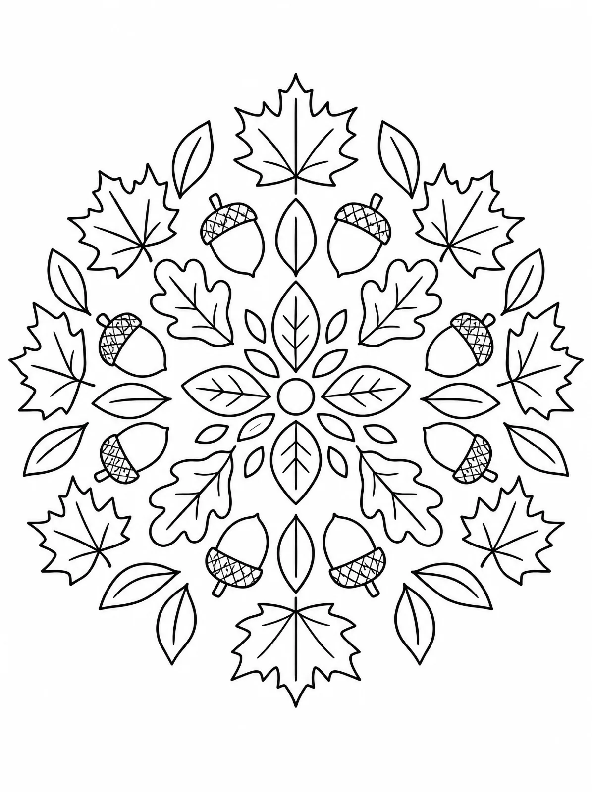 A symmetrical mandala of maple leaves, oak leaves, smaller pointed leaves and acorns with crosshatched caps surrounds a small circle.
