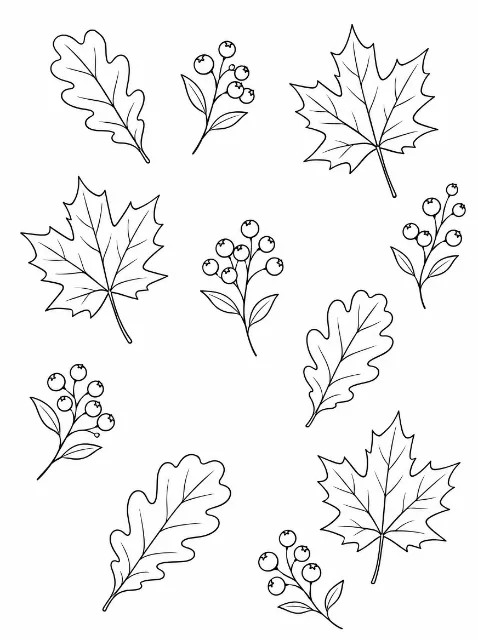 Black-and-white line drawing of three oak leaves, three maple leaves and five leafy berry sprigs scattered across a blank background.