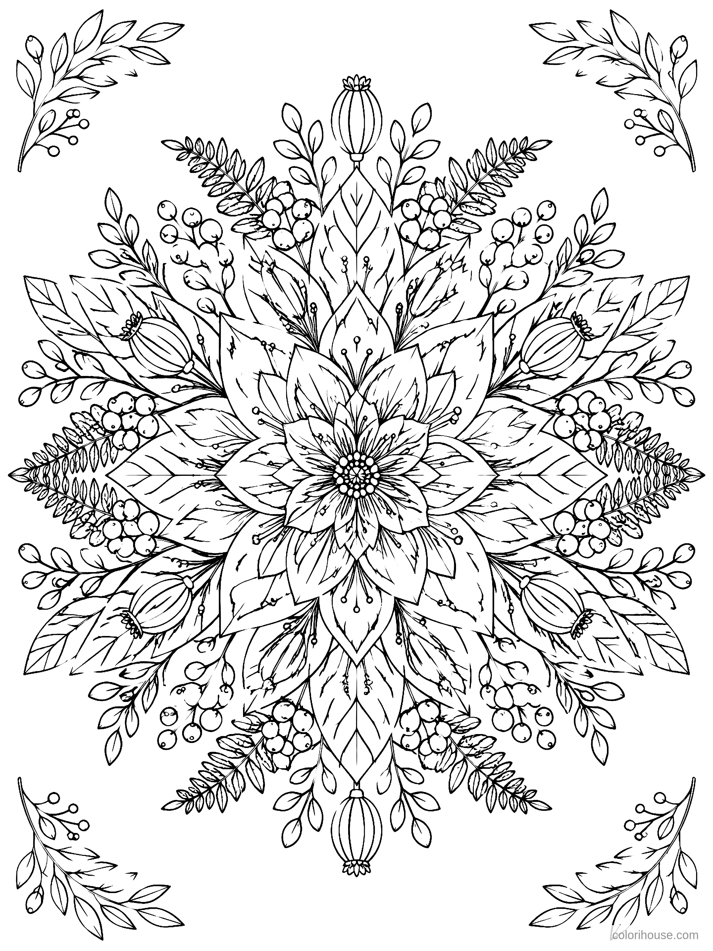 Botanical Mandala coloring page