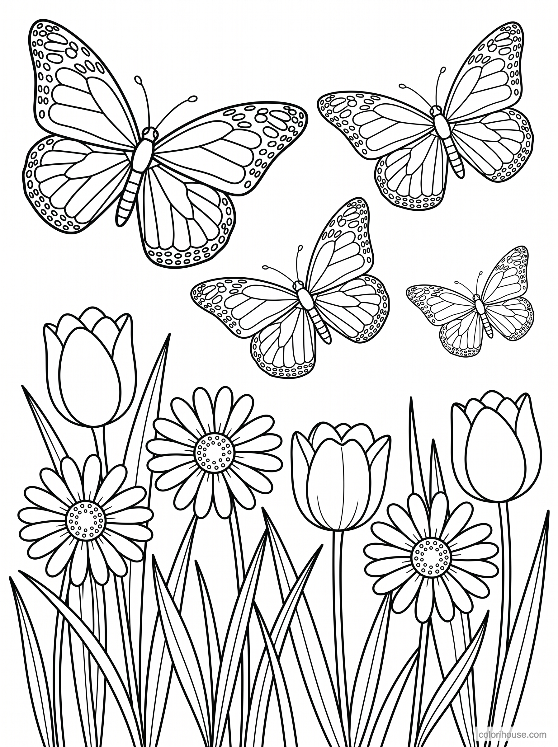 Butterfly Garden coloring page