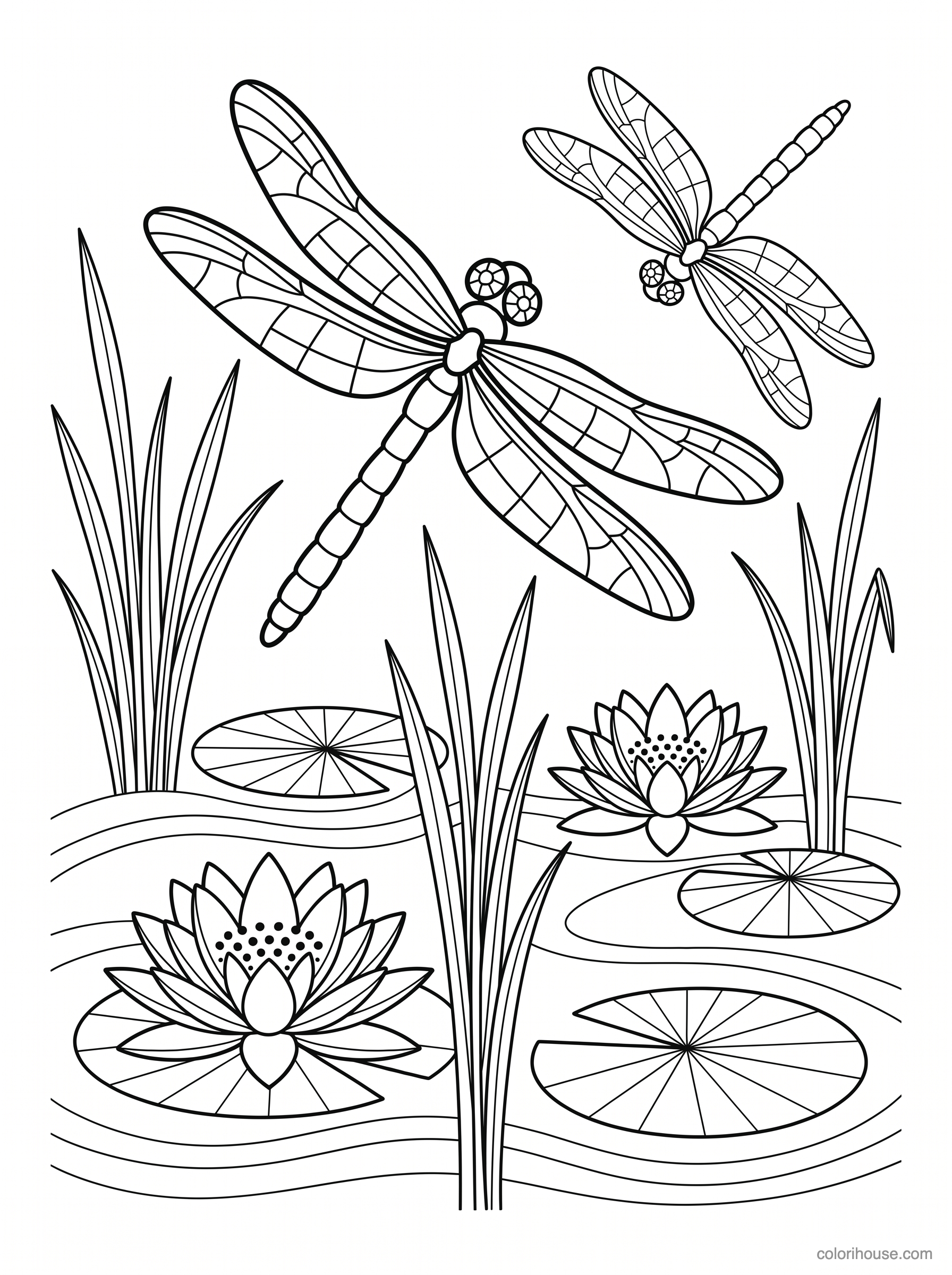Dragonflies Above Water Lilies coloring page
