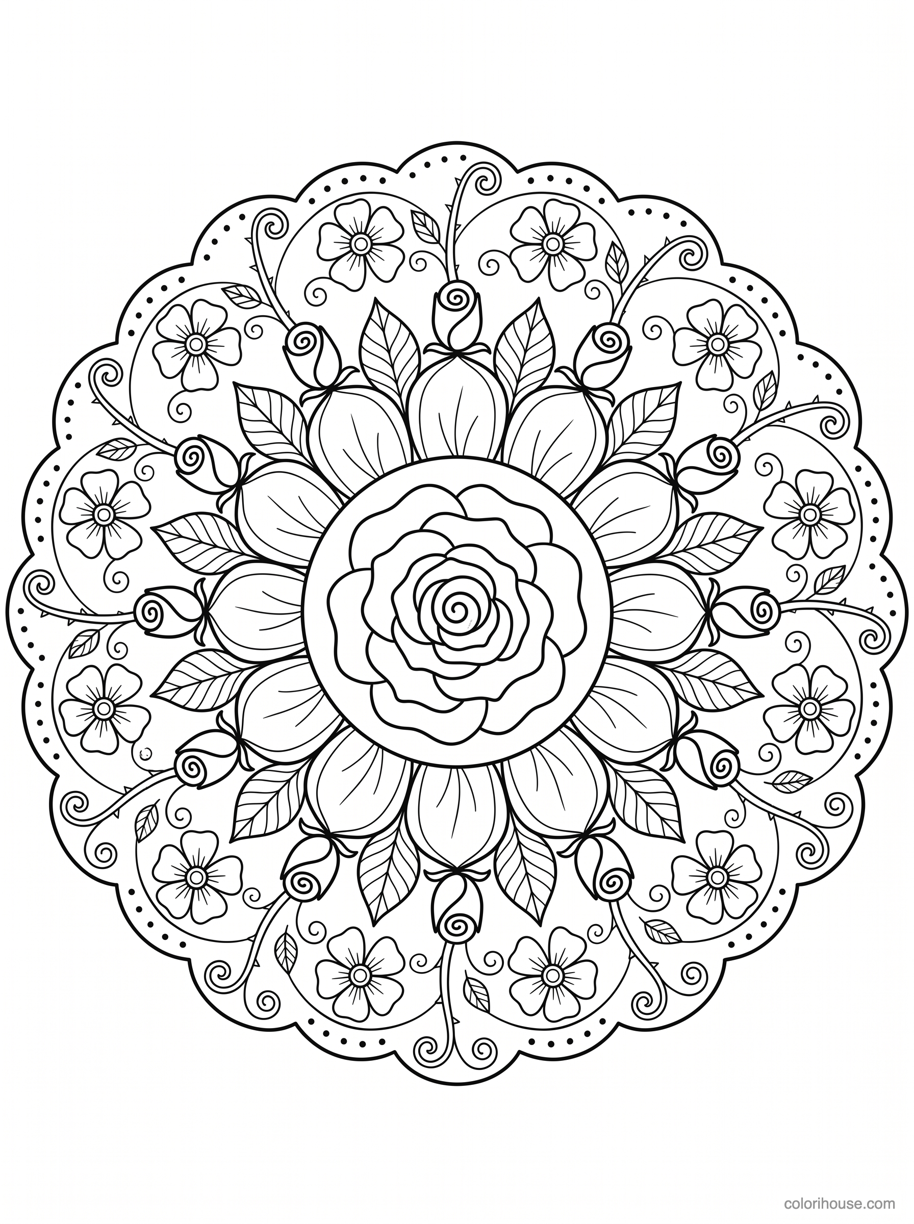 Rose Mandala With Curling Vines coloring page