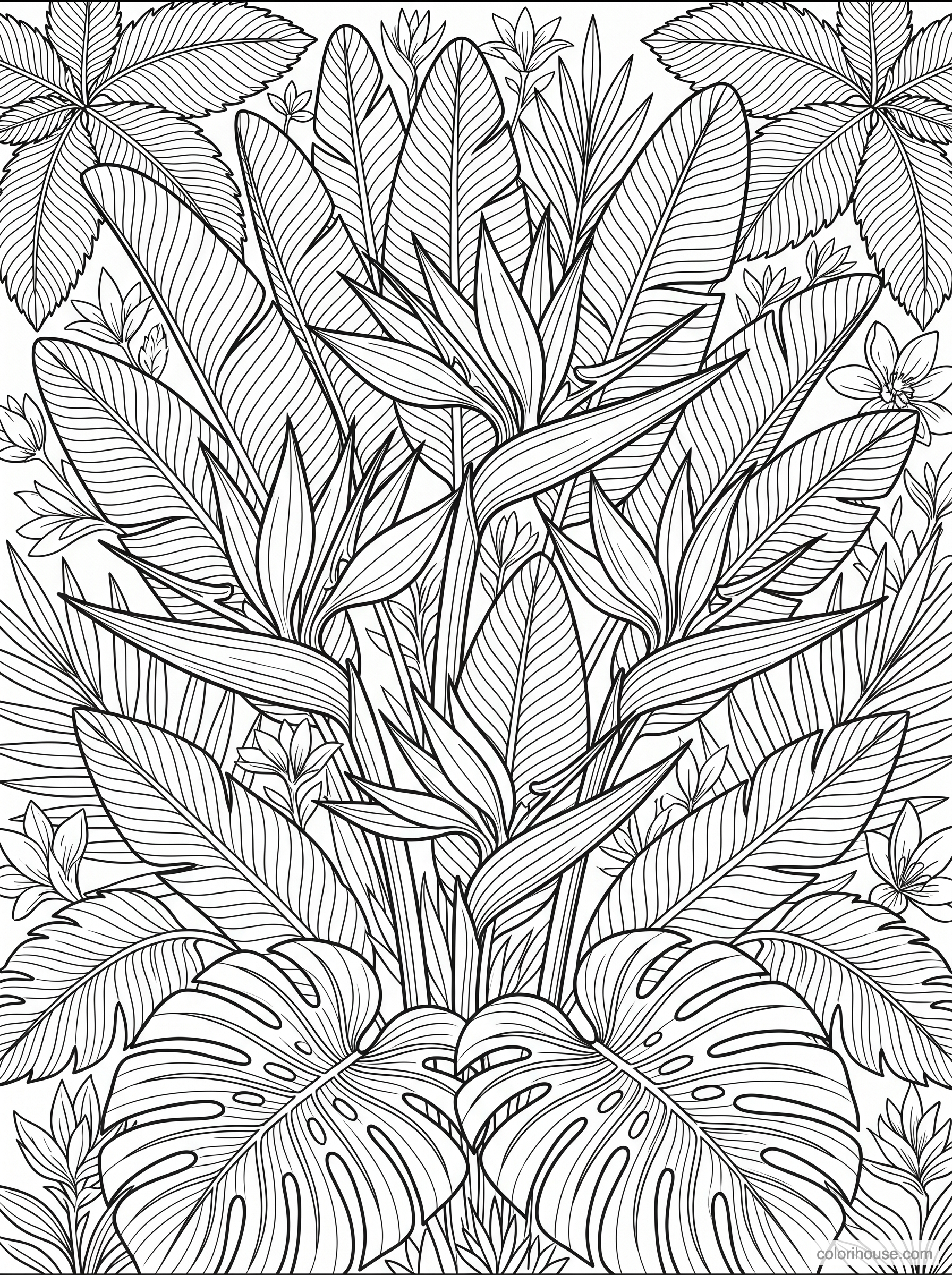 Lush Tropical Flowers and Leaves coloring page