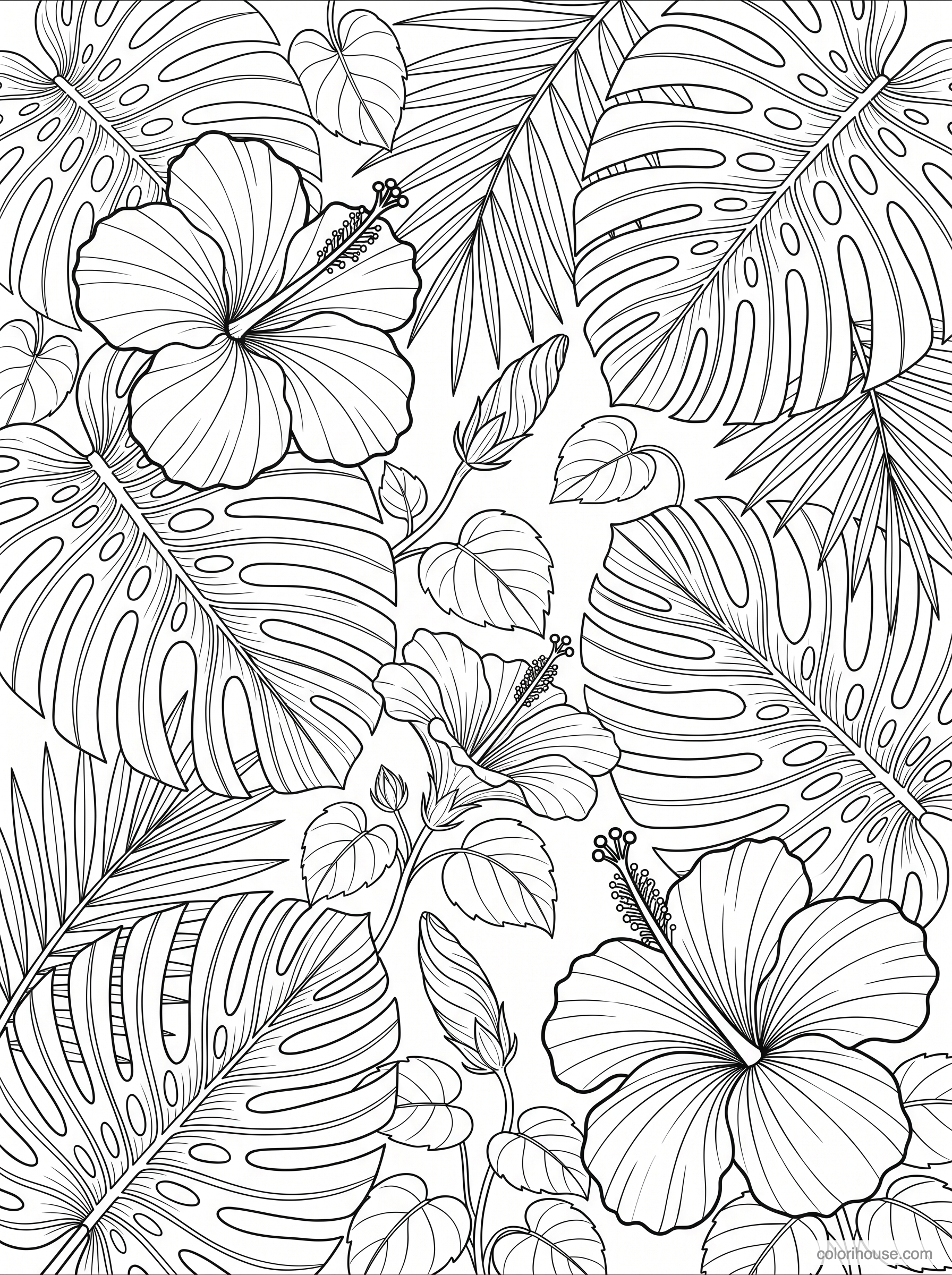 Tropical Hibiscus & Monstera coloring page